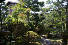 山紫水明と苔庭を愛でる