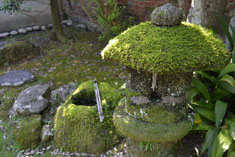 山紫水明と苔庭を愛でる