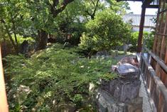 石積みをつたって庭園へ