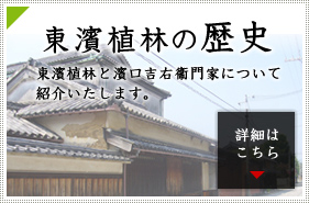 東濱植林の歴史