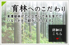 育林へのこだわり